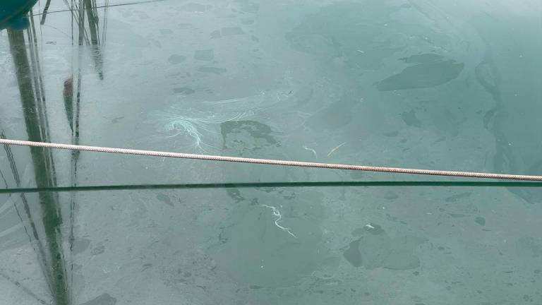Le tracce di gasolio nel porto canale Le tracce di gasolio nel porto canale