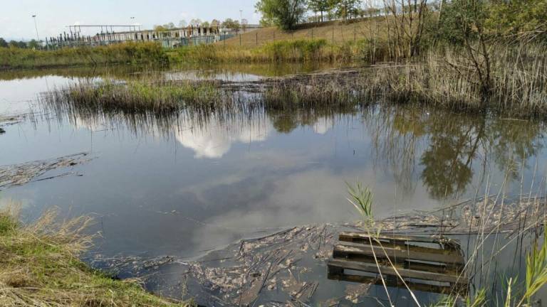 Faenza, Lotras: pericolo inquinamento Faenza, Lotras: pericolo inquinamento
