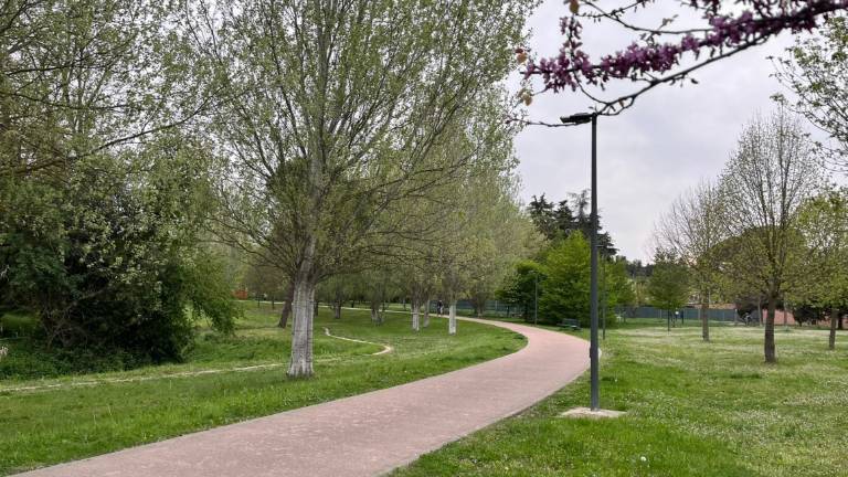Cesena: si amplia la pista ciclabile del Cesuola con 800 mila euro di appalto Cesena: si amplia la pista ciclabile del Cesuola con 800 mila euro di appalto