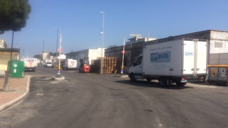 Ordinanza per decoro e pulizia dell'area portuale di Cesenatico Ordinanza per decoro e pulizia dell'area portuale di Cesenatico