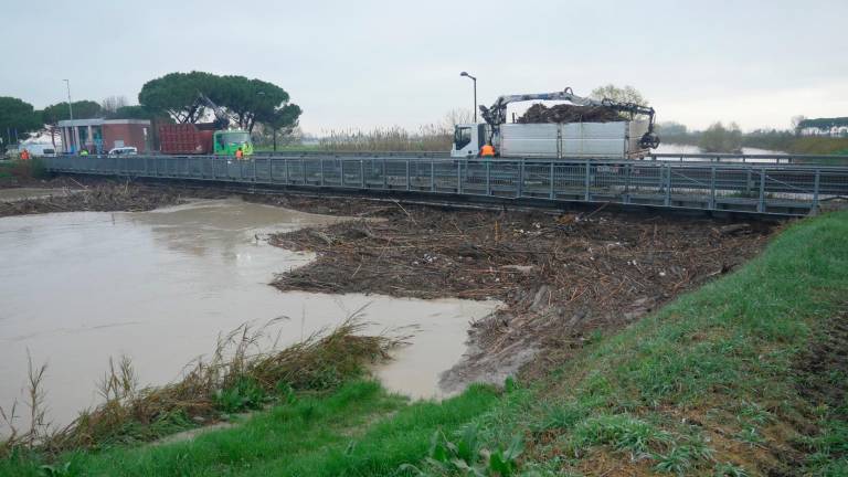Ravenna, la paura è passata: al lavoro per liberare dal legname il ponte sul Lamone a Mezzano - VIDEO GALLERY Ravenna, la paura è passata: al lavoro per liberare dal legname il ponte sul Lamone a Mezzano - VIDEO GALLERY