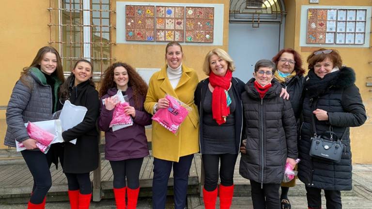 Russi, il Comune e Linea Rosa alleati contro la violenza di genere Russi, il Comune e Linea Rosa alleati contro la violenza di genere