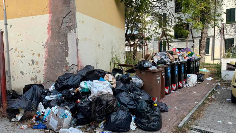 I rifiuti abbandonati nell’area del condominio di via Marsala I rifiuti abbandonati nell’area del condominio di via Marsala