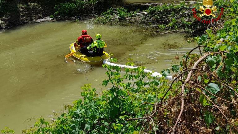 Forlì, sostanze inquinanti nel fiume Ronco Forlì, sostanze inquinanti nel fiume Ronco