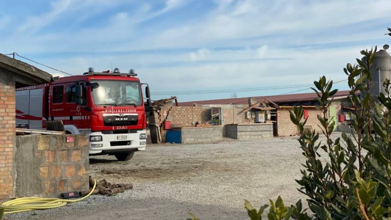 Cesena, crolla tetto di allevamento di maiali Cesena, crolla tetto di allevamento di maiali