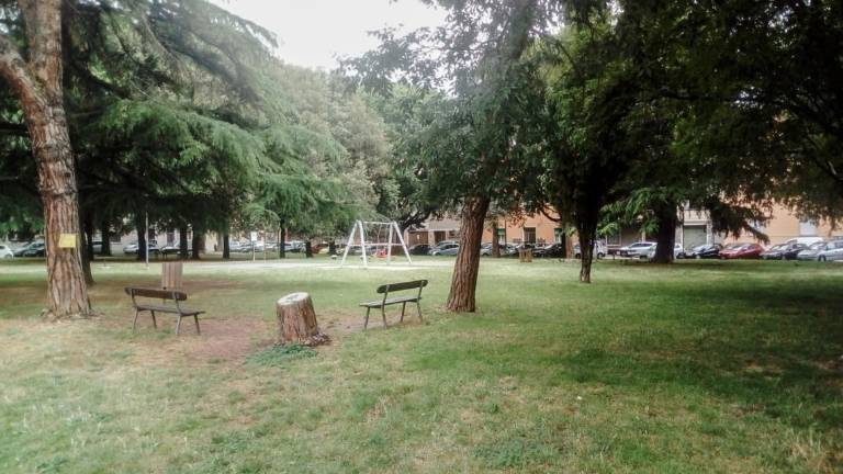 Faenza, entro l'estate la riapertura del parco della Cavallerizza Faenza, entro l'estate la riapertura del parco della Cavallerizza