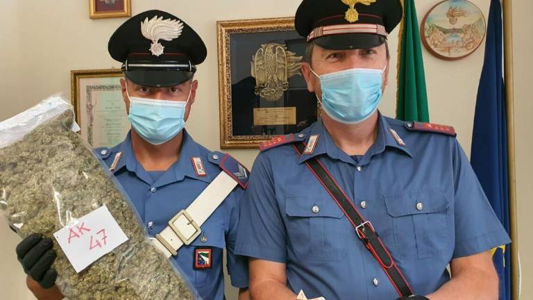 Riccione, arrestato con 1,3 chili di droga “Ak-47” in auto Riccione, arrestato con 1,3 chili di droga “Ak-47” in auto