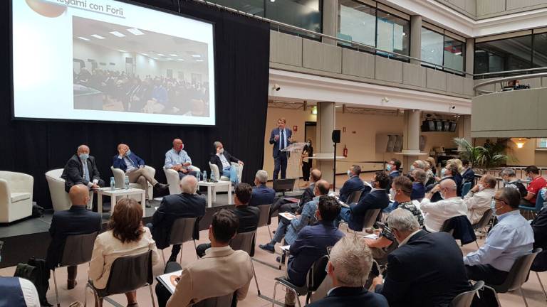 Forlì, Fieravicola 2021: eccellenze in vetrina insieme a Macfrut Forlì, Fieravicola 2021: eccellenze in vetrina insieme a Macfrut