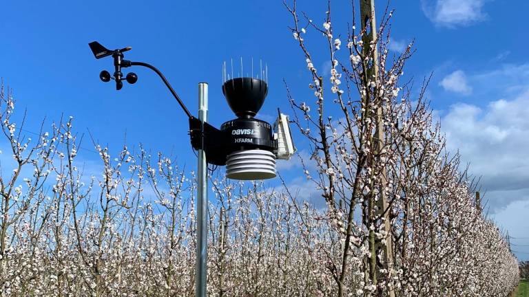 Sensori e intelligenza artificiale, ecco in Romagna l’agricoltura del futuro Sensori e intelligenza artificiale, ecco in Romagna l’agricoltura del futuro