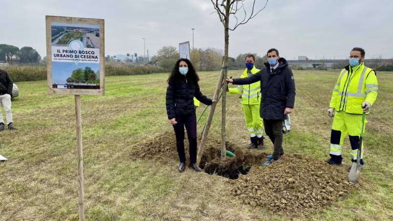 Cesena, entro la fine dell'inverno via alla creazione del bosco urbano cittadino Cesena, entro la fine dell'inverno via alla creazione del bosco urbano cittadino