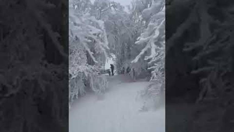 Meteo Romagna, sabato neve sull'Appennino oltre quota mille metri VIDEO Meteo Romagna, sabato neve sull'Appennino oltre quota mille metri VIDEO