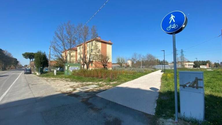 Covid-19: multato a Cesena mentre torna dal lavoro sulla ciclabile Covid-19: multato a Cesena mentre torna dal lavoro sulla ciclabile