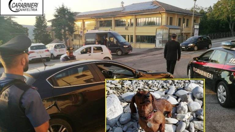Minaccia con un pitbull una donna e il suo cagnolino: denunciato Minaccia con un pitbull una donna e il suo cagnolino: denunciato