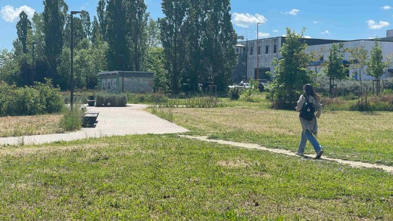 Cesena: bimba di 9 anni esce da scuola e si punge con la siringa di un tossicodipendente Cesena: bimba di 9 anni esce da scuola e si punge con la siringa di un tossicodipendente