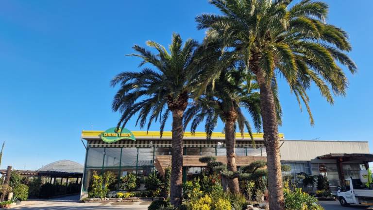 Central Garden a Cesena spegne 40 candeline Central Garden a Cesena spegne 40 candeline