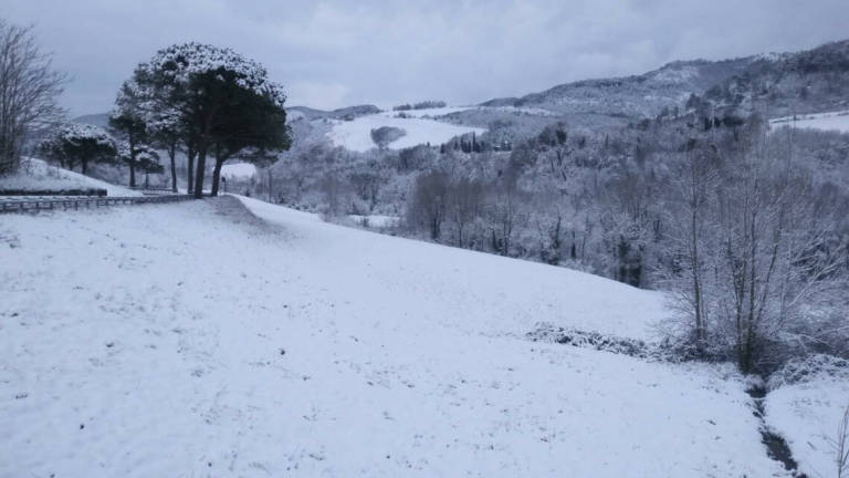 La neve imbianca il Forlivese La neve imbianca il Forlivese
