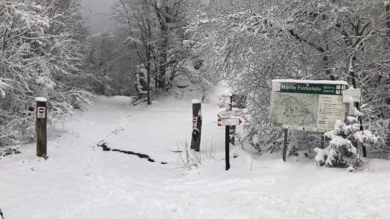 Meteo, domenica allerta gialla: arriva la neve in Romagna Meteo, domenica allerta gialla: arriva la neve in Romagna