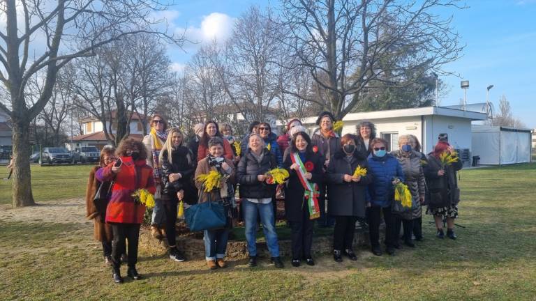 Forlì, una panchina rossa al Parco Caduti per la Libertà di Carpena Forlì, una panchina rossa al Parco Caduti per la Libertà di Carpena