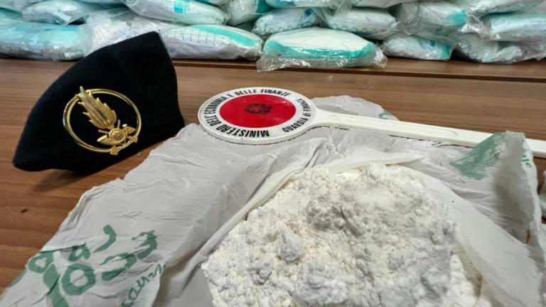 Tra il legname spuntano 44 chili di cocaina: arrestati due spacciatori residenti nel riminese VIDEO Tra il legname spuntano 44 chili di cocaina: arrestati due spacciatori residenti nel riminese VIDEO