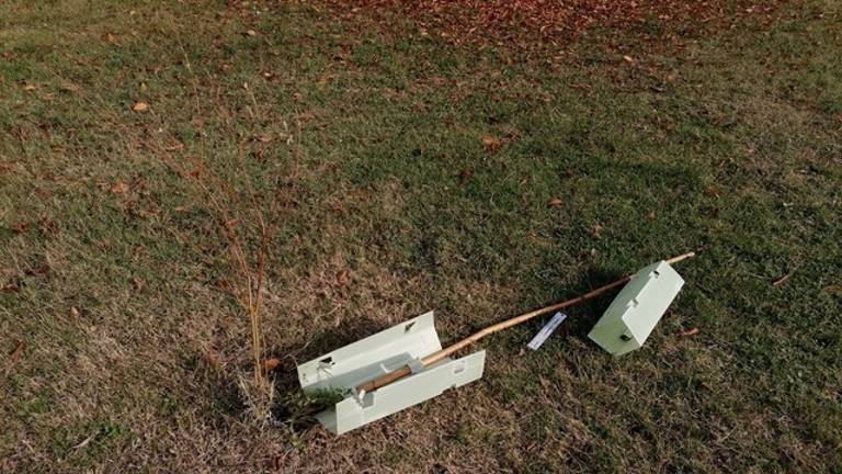 Cesena e il bosco dei bambini distrutto. Il sindaco: Tornerà più bello di prima Cesena e il bosco dei bambini distrutto. Il sindaco: Tornerà più bello di prima