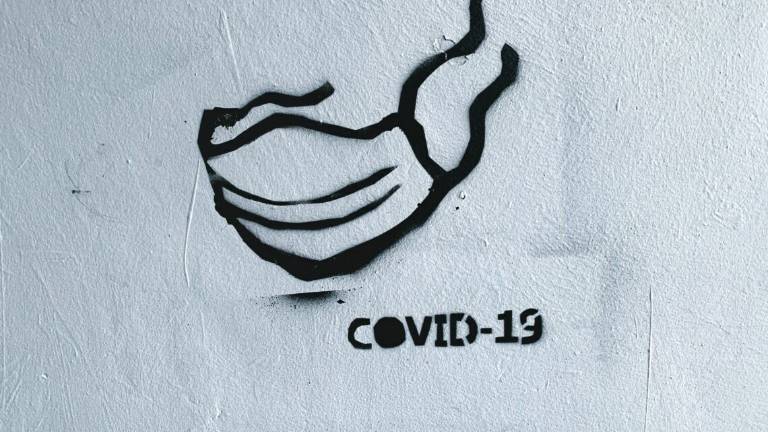 Virus: a Ravenna un solo nuovo contagio. Muore una 97enne Virus: a Ravenna un solo nuovo contagio. Muore una 97enne