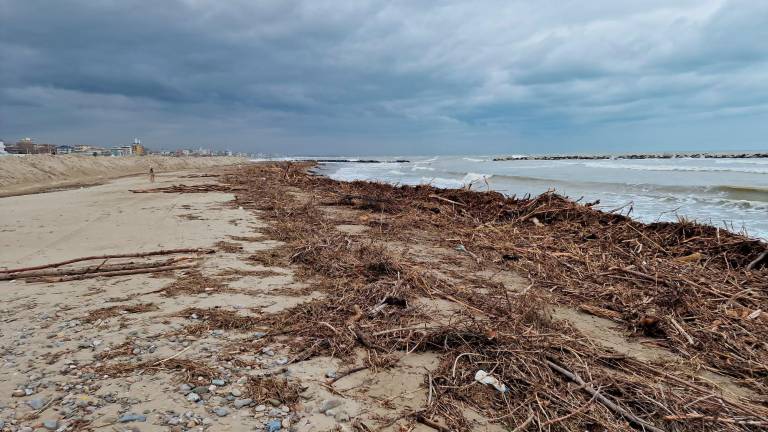 Rimini, le mareggiate portano tonnellate di legname sulla spiaggia di Rivabella VIDEO GALLERY Rimini, le mareggiate portano tonnellate di legname sulla spiaggia di Rivabella VIDEO GALLERY