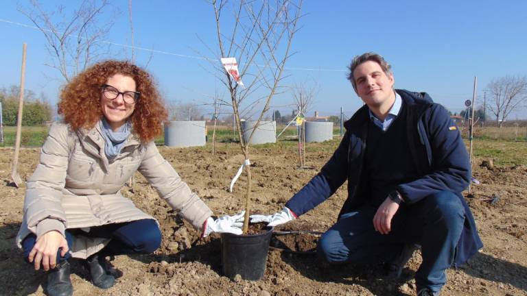 Giornata mondiale contro il cancro infantile: un melograno nel giardino del Prime Center Ior a Cesena Giornata mondiale contro il cancro infantile: un melograno nel giardino del Prime Center Ior a Cesena