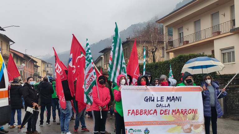 Marradi, un migliaio in corteo per difendere la Fabbrica dei marroni Marradi, un migliaio in corteo per difendere la Fabbrica dei marroni
