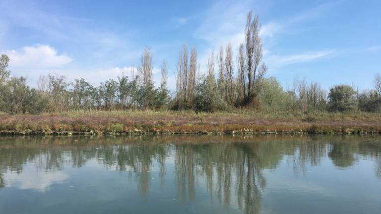 Ravenna, lavori per 580mila euro nelle zone naturali Ravenna, lavori per 580mila euro nelle zone naturali