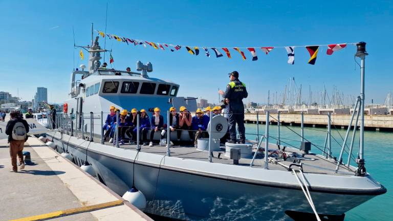 Rimini, “Giornata del Mare”: la tartaruga marina Bruno torna libera tra gli applausi degli studenti - Gallery Rimini, “Giornata del Mare”: la tartaruga marina Bruno torna libera tra gli applausi degli studenti - Gallery