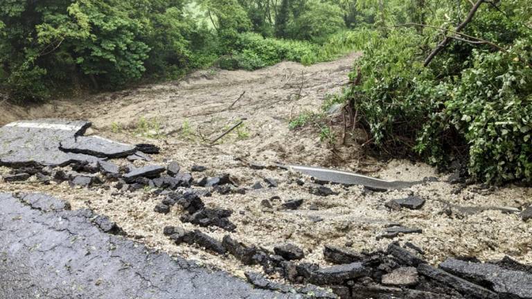 Cesena, mezzo milione di lavori di somma urgenza fatti nelle strade consortili Cesena, mezzo milione di lavori di somma urgenza fatti nelle strade consortili