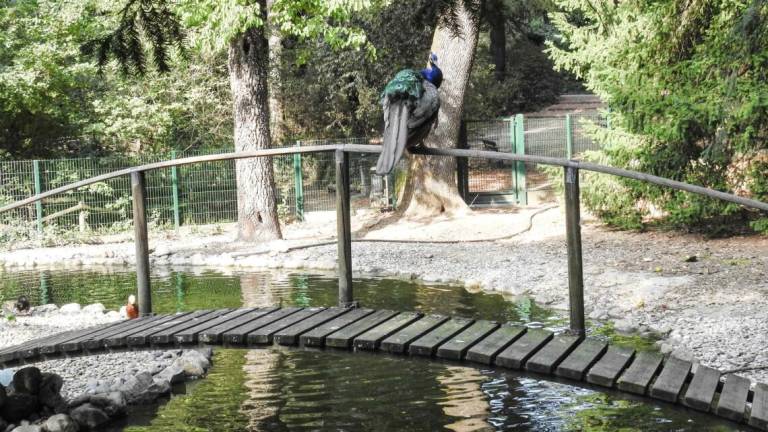 Imola, centomila euro per sistemare il Parco delle Acque Imola, centomila euro per sistemare il Parco delle Acque