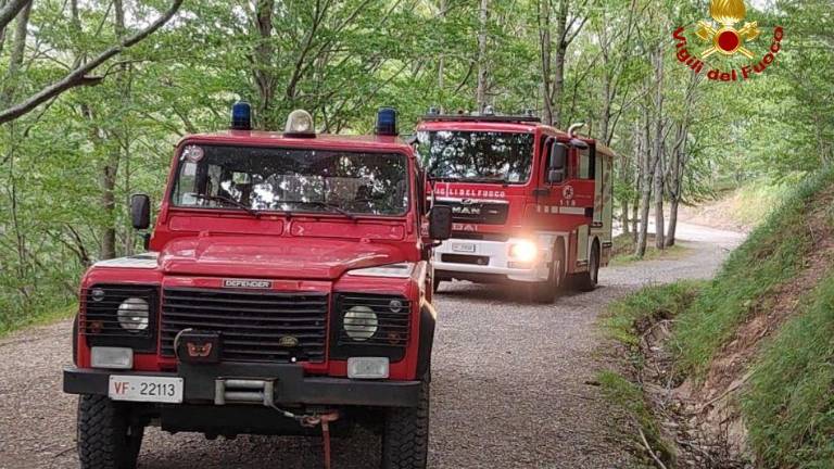 Coppia si perde tra i boschi a Premilcuore, l'intervento di salvataggio dei vigili del fuoco Coppia si perde tra i boschi a Premilcuore, l'intervento di salvataggio dei vigili del fuoco