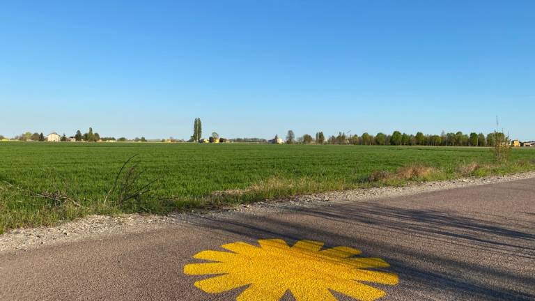 Corsini: Pnrr, no al taglio dei fondi per le ciclovie. Solo Ravenna ha fatto un bando da 6 milioni Corsini: Pnrr, no al taglio dei fondi per le ciclovie. Solo Ravenna ha fatto un bando da 6 milioni