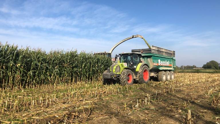 Siccità, l'Emilia-Romagna stanzia 7 milioni per l'irrigazione Siccità, l'Emilia-Romagna stanzia 7 milioni per l'irrigazione