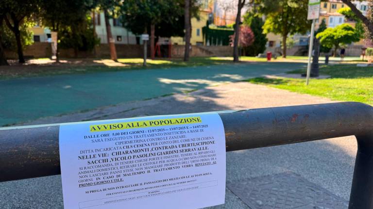 Sos Dengue dopo un viaggio in Perù: iniziate le disinfestazioni in centro a Cesena Sos Dengue dopo un viaggio in Perù: iniziate le disinfestazioni in centro a Cesena