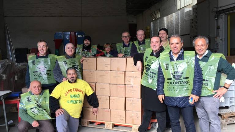 Sabato torna la Colletta Alimentare: tutti i punti vendita per la solidarietà Sabato torna la Colletta Alimentare: tutti i punti vendita per la solidarietà