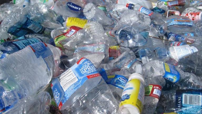 Rimini, l’associazione ambientalista: «Votiamo chi firma il patto per lo stop alla plastica» Rimini, l’associazione ambientalista: «Votiamo chi firma il patto per lo stop alla plastica»