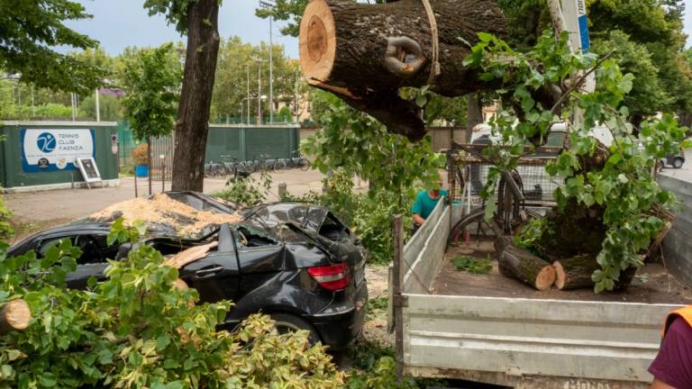 Trombe d'aria e grandinate, danni per oltre 200 milioni: la Regione chiede lo stato d'emergenza nazionale Trombe d'aria e grandinate, danni per oltre 200 milioni: la Regione chiede lo stato d'emergenza nazionale