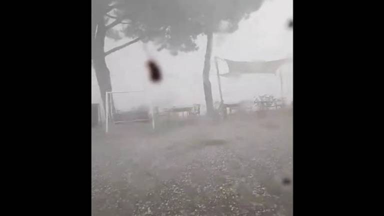Grandine e raffiche di vento sulle vigne della cantina San Biagio Vecchio a Oriolo dei fichi VIDEO Grandine e raffiche di vento sulle vigne della cantina San Biagio Vecchio a Oriolo dei fichi VIDEO