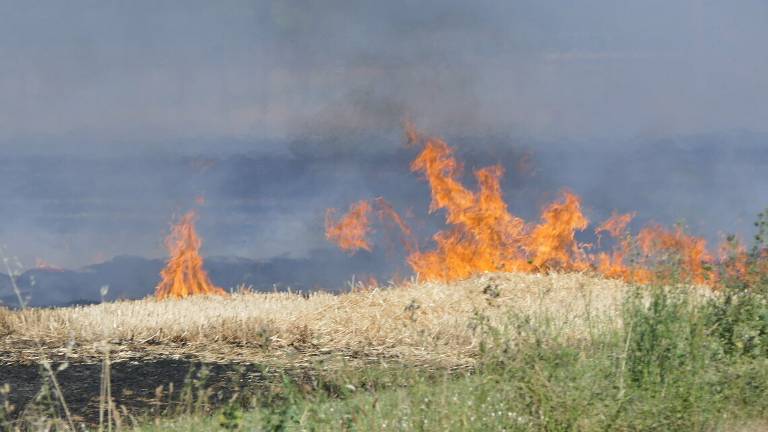 Imola. Incendio brucia 10 ettari di terreno Imola. Incendio brucia 10 ettari di terreno
