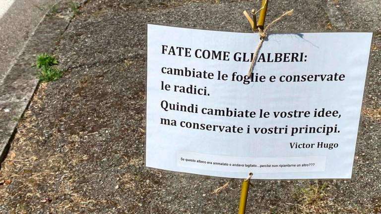 Cesena, lungo la via Mascagni sono comparse 23 poesie per chiedere di piantare nuovi alberi Cesena, lungo la via Mascagni sono comparse 23 poesie per chiedere di piantare nuovi alberi