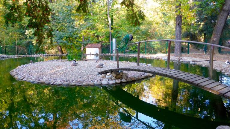 A Imola costituito il Comitato “Amici del Parco Acque Minerali” A Imola costituito il Comitato “Amici del Parco Acque Minerali”
