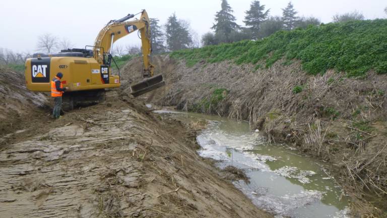 Savignano, iniziati i lavori di manutenzione straordinaria del fiume Rubicone Savignano, iniziati i lavori di manutenzione straordinaria del fiume Rubicone