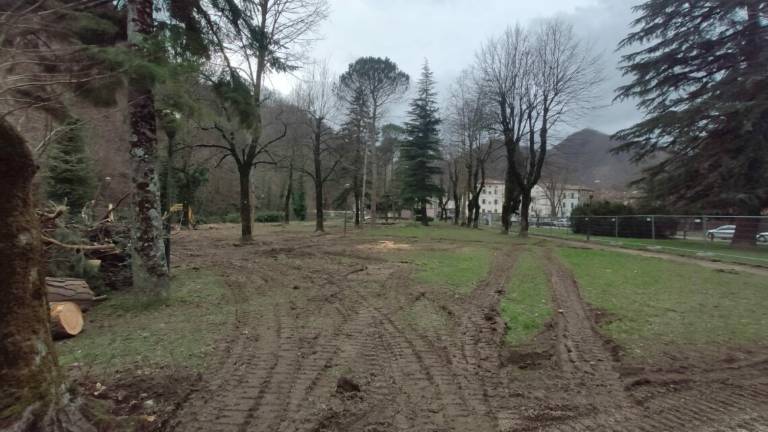 Bagno di Romagna, via ai lavori nel parco lungo il fiume Bagno di Romagna, via ai lavori nel parco lungo il fiume