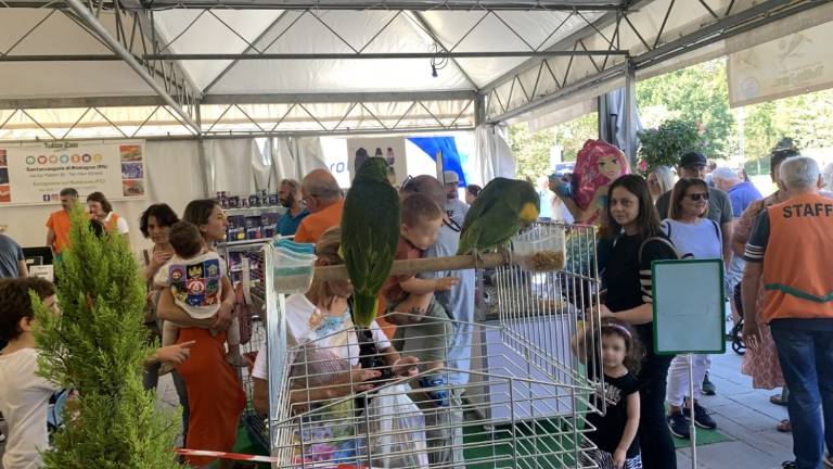 Santarcangelo. Fiera di San Michele, tutto il programma Santarcangelo. Fiera di San Michele, tutto il programma
