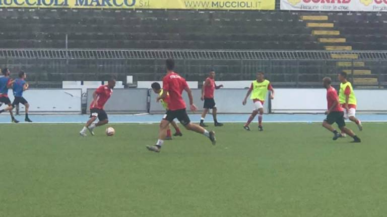 Calcio D, Real Forte Querceta-Rimini rinviata al 7 ottobre Calcio D, Real Forte Querceta-Rimini rinviata al 7 ottobre