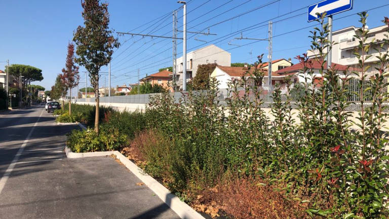 Una barriera verde a Riccione per mitigare l'impatto visivo del Trc Una barriera verde a Riccione per mitigare l'impatto visivo del Trc