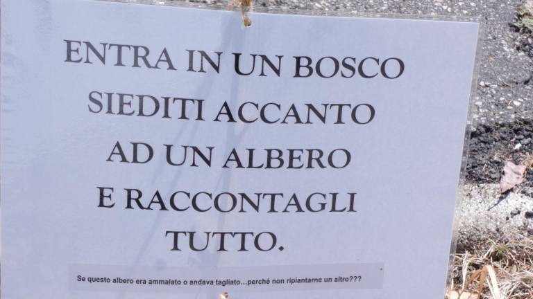Cesena, lungo la via Mascagni sono comparse 23 poesie per chiedere di piantare nuovi alberi Cesena, lungo la via Mascagni sono comparse 23 poesie per chiedere di piantare nuovi alberi