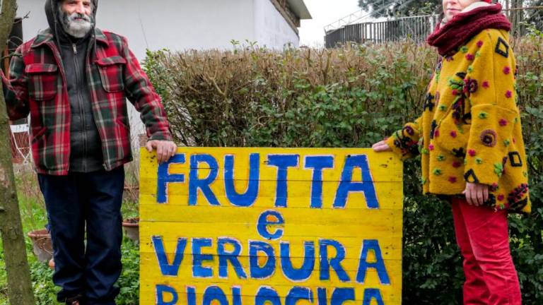 Terrestra, un patto fra chi coltiva e chi consuma Terrestra, un patto fra chi coltiva e chi consuma